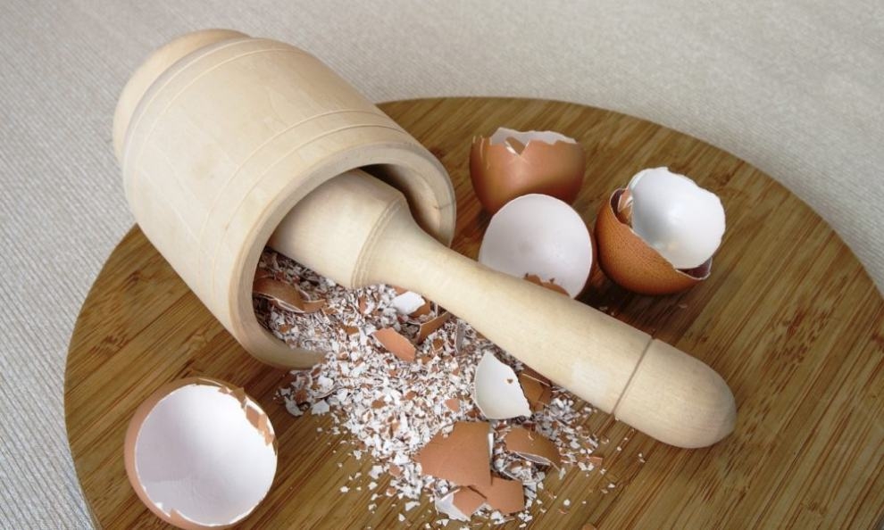 Yumurta Kabuğu = Kalsiyum Deposu | Bandirma.com.tr