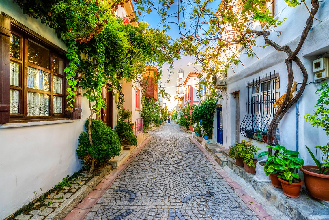 Bozcaada'da Çekilen Sinema Filmleri ve Diziler belli oldu. 2022 yılına