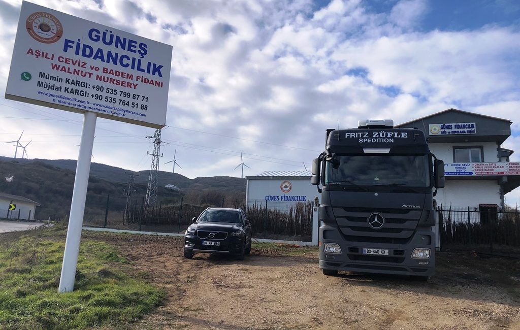 Güneş Fidancılık Bandırma’da aşılı ceviz fidanı üretimi ve satışı yapan