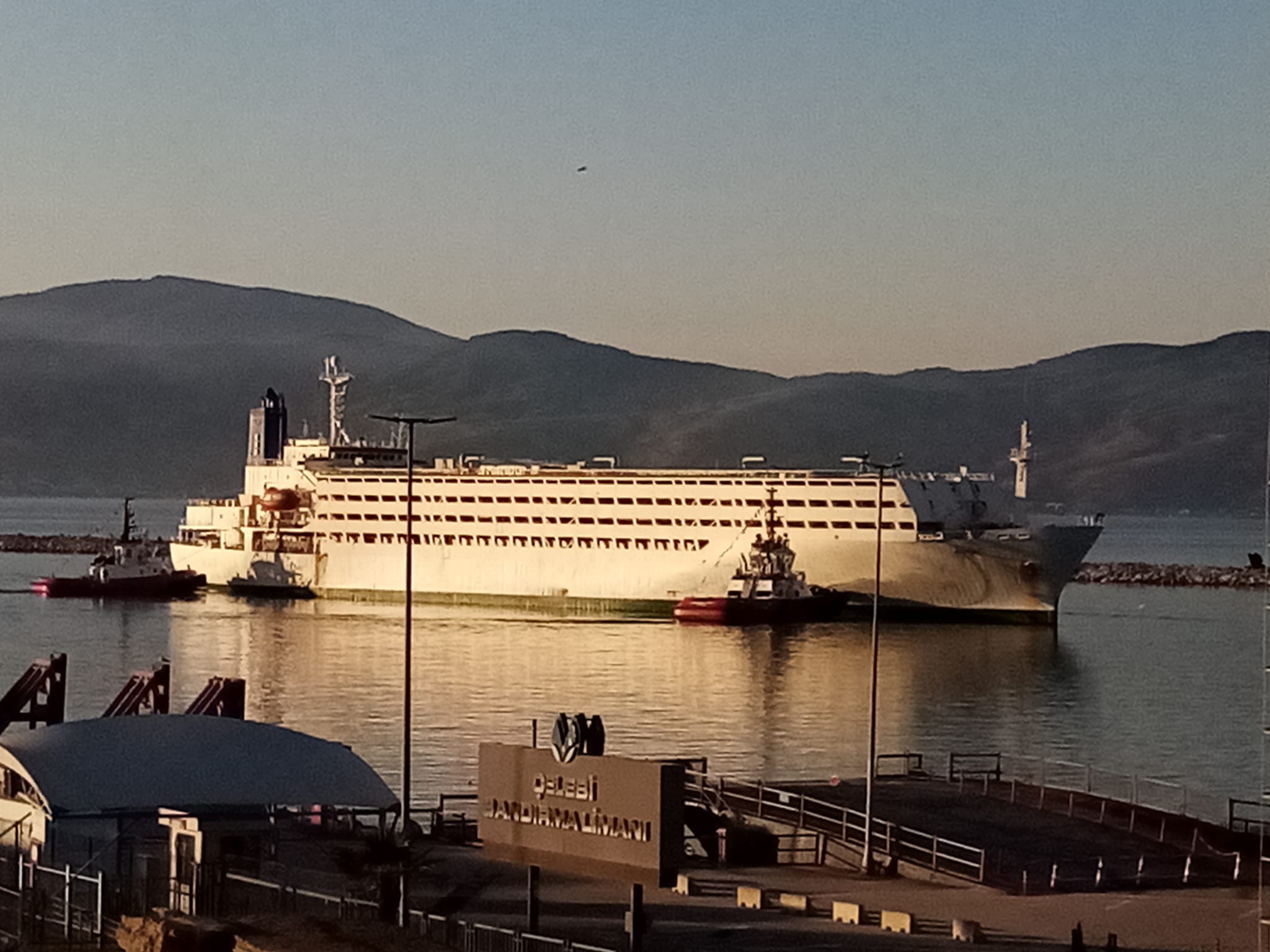Bandırma’da angus sorunu bitmek bilmiyor. Geçtiğimiz hafta şehrimize yurt dışından
