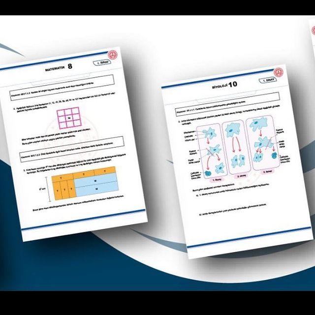 2024-2025 eğitim öğretim yılı 1. dönem 1. yazılı sınavlarına yönelik