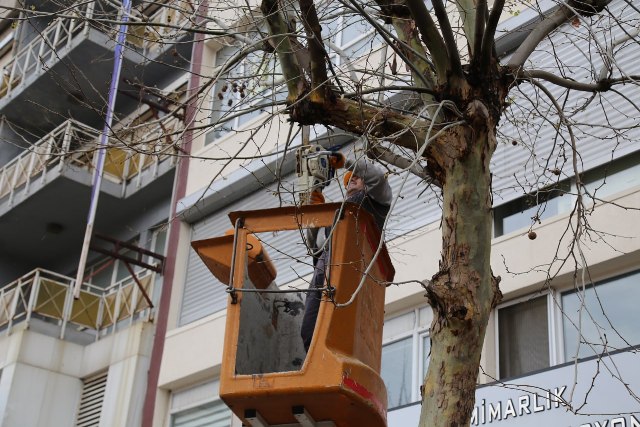 Edremit Belediyesi, Yeşil Alanları Bayrama Hazırlıyor Balıkesir’in Edremit ilçesinde, belediye
