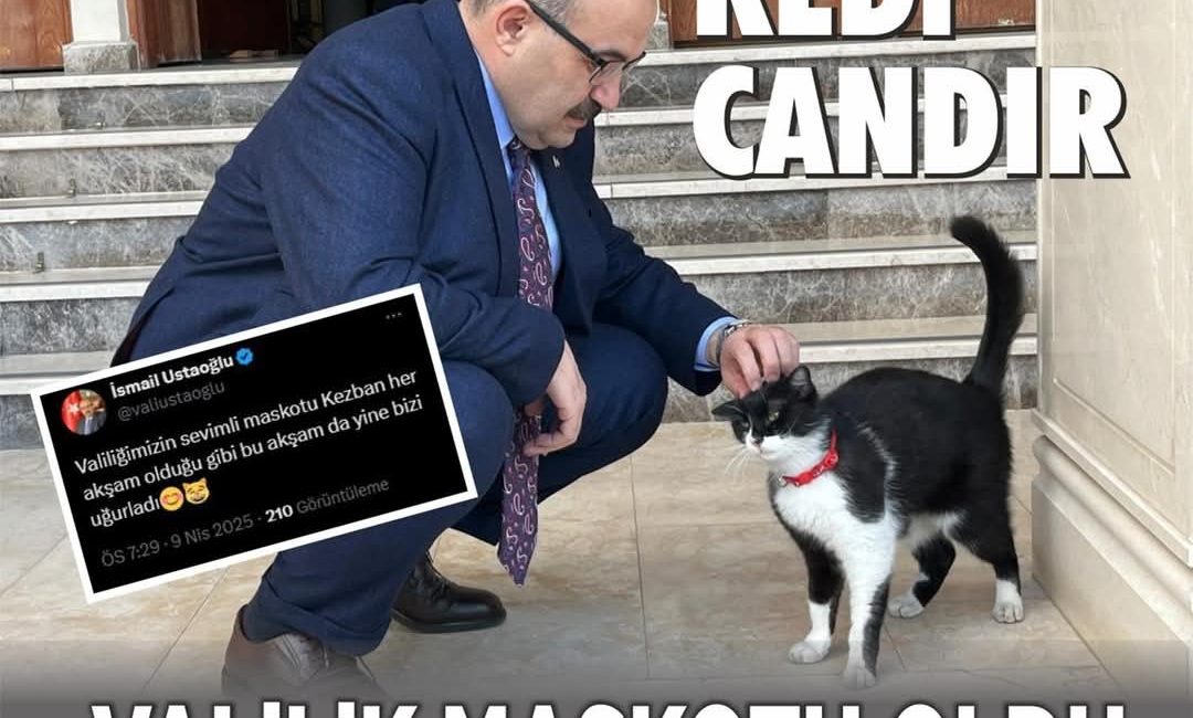 Balıkesir Valiliği’ne Sevimli Bir Misafir Balıkesir Valiliği, sokakta yaşam mücadelesi