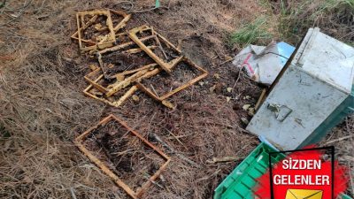 Kapıdağ Yarımadası’nda Şaşırtan Gelişme Balıkesir’in Erdek ilçesi Kapıdağ Yarımadası’nda bir