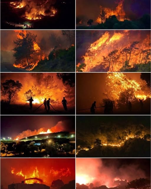Balıkesir’de yangınlar devam ediyor. Bölgede yaşanan yangınlar nedeniyle hayvanların yaşamını