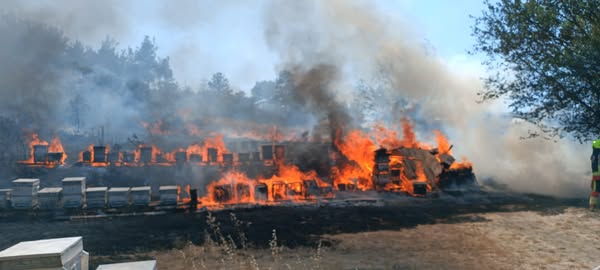 Balıkesir’in Dursunbey ilçesine bağlı Çakmak Mahallesi’nde bir arazi yangını meydana