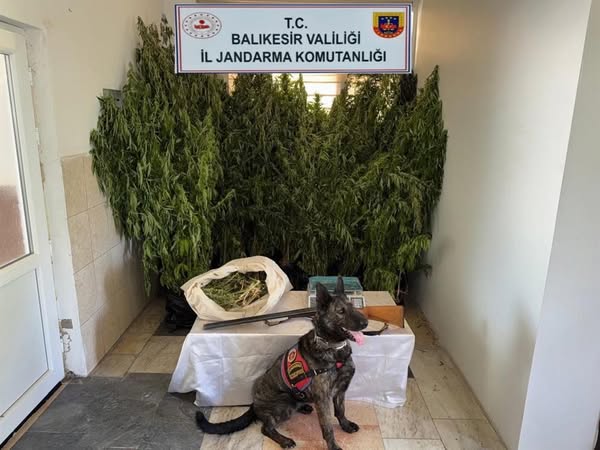 Balıkesir İl Jandarma Komutanlığı, 21 27 Temmuz 2025 tarihleri arasında