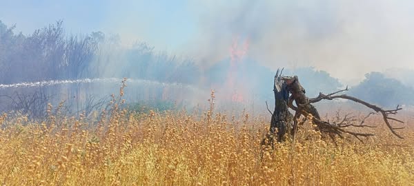Balıkesir’in Karesi ilçesinde ot yangını çıktı. Yangın, ilçe merkezine yakın