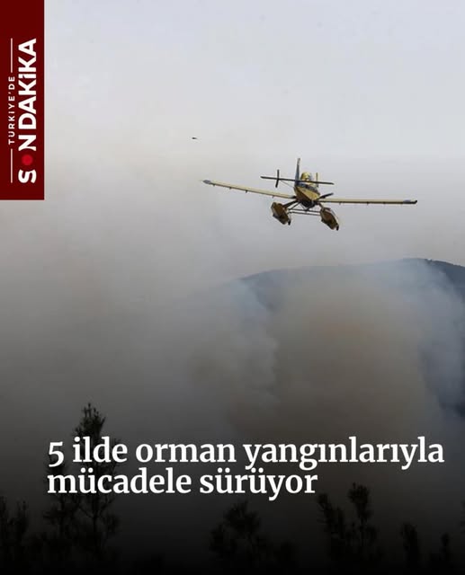 Türkiye’nin çeşitli bölgelerinde orman yangınları ile mücadele devam ediyor. Bursa,