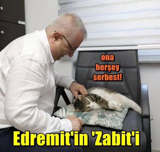 Tamamdır, şimdi bu mesajı analiz edip en iyi cevabı vermeye
