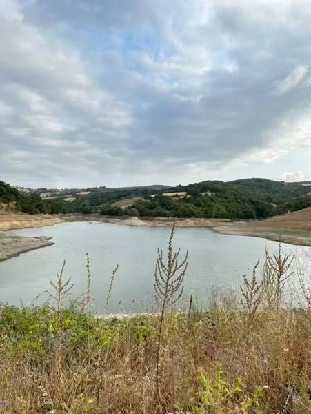 Gönen ilçesine bağlı Saraçlar Mahallesi’nde bulunan gölet, son dönemlerde yaşanan