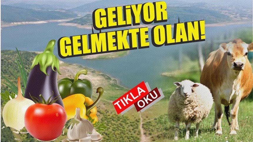Balıkesir il merkezi, yaklaşan içme suyu sıkıntısıyla karşı karşıya. İkizcetepeler