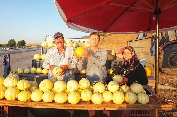Biga Bandırma yolu üzerindeki Havutça Köyü yakınlarında, emekçi kavuncular, sabahın