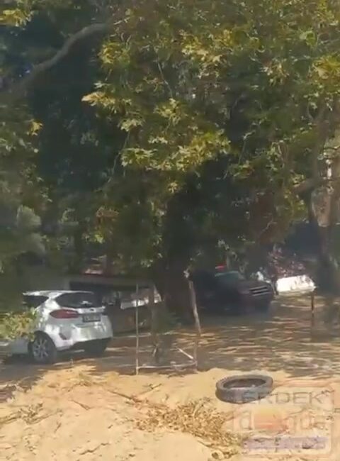 Erdek ilçesi Narlı Mahallesi Beyaz Evler mevkiindeki çamlık alanda yangın