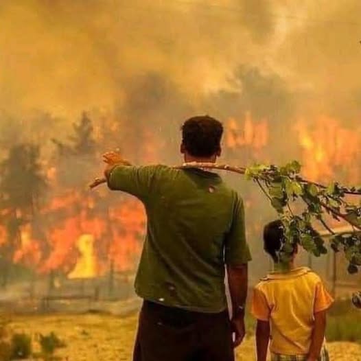 Balıkesir’de yaşanan orman yangınıyla ilgili yeni bir açıklama yapıldı. Yangının