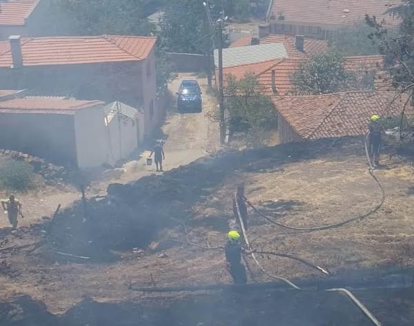Balıkesir’in Burhaniye ilçesi Pelitköy Mahallesi’nde ormanlık alanda çıkan yangın, kısa