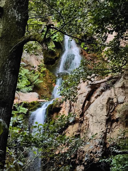Gönen’in eşsiz doğası, bölgenin zengin flora ve faunasını gözler önüne