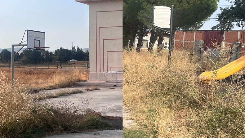 Balıkesir’in Altıeylül ilçesine bağlı Köseler Mahallesi’ndeki Köseler İlkokulu’nun bahçesi, otlarla
