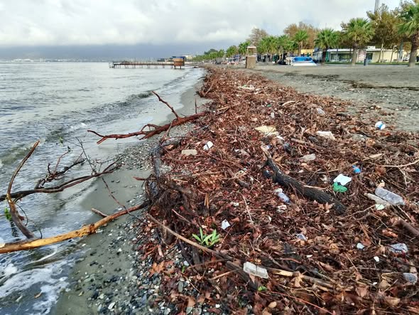 Lodosun Getirdiği Doğal Manzara: Akçay Sahili Ağaç Dalları ve Yosunla Kaplandı Lodosun Etkisiyle Sahil Değişime Uğradı Edremit ilçesine bağlı Akçay sahilinde,