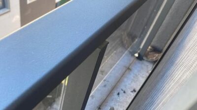 Balkondaki Misafire İtfaiyeden Operasyon Balıkesir’in Edremit ilçesinde, bir vatandaşın balkonuna