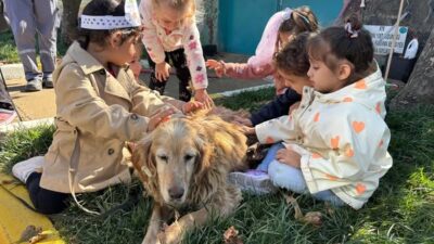 Minik Öğrenciler Can Dostlarla Bir Araya Geldi Bandırma Belediyesi, 4