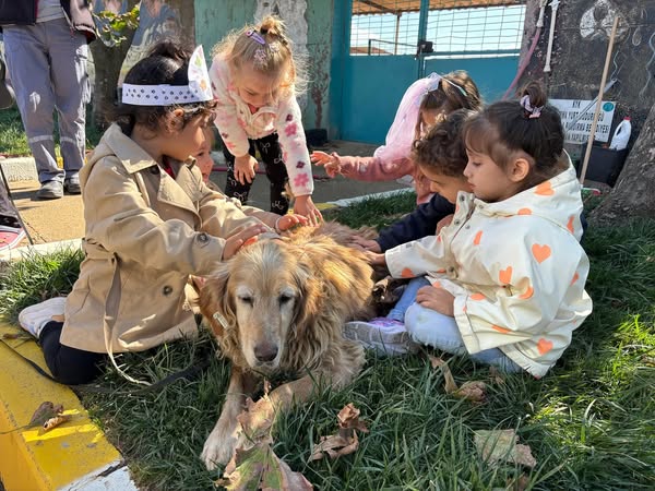Minik Öğrenciler Can Dostlarla Bir Araya Geldi Bandırma Belediyesi, 4