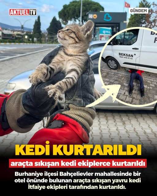Yavru Kedi, Otomobilde Mahsur Kaldığı Kurtarma Operasyonuyla Hayata Döndü Burhaniye’de Minik Dostumuzun Kurtuluş Mücadelesi Balıkesir’in Burhaniye ilçesinde, bir otomobilin