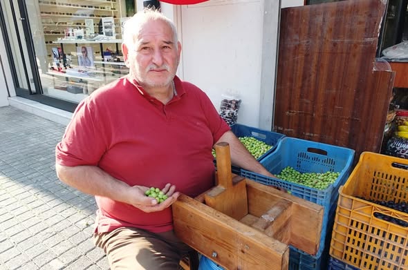Burhaniye’de geleneksel kırma zeytin hazırlıkları başladı. İlçede zeytin üreticileri, yeni