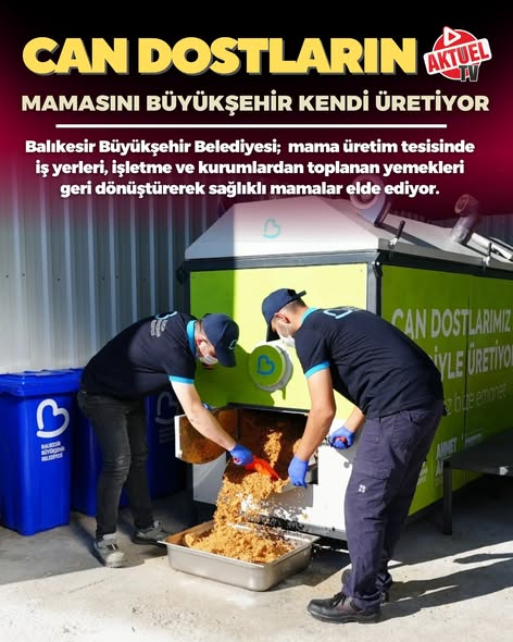 Balıkesir Büyükşehir Belediyesi, sokak hayvanları için geri dönüşüm projesi başlattı.