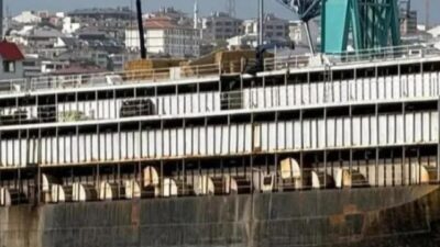 Sekiz gün önce Bandırma Limanına gelen büyükbaş hayvan yüklü Spiridon-II