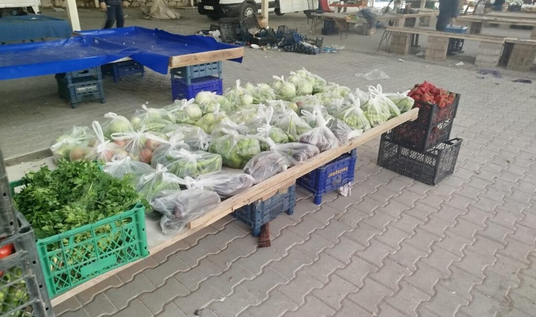Marmara'da satılamayan taze ürünler, üreticilerden temin edilerek çiftçilerin emeğini korur