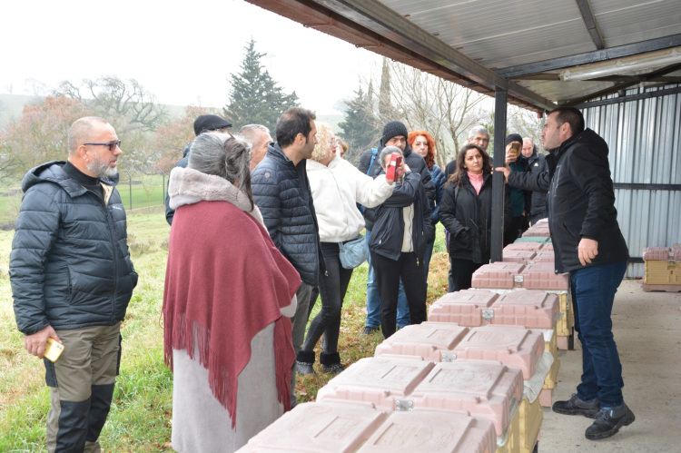 Uygulamalı Arıcılık Kursu Görseli 5