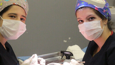 Estefine Saç Ekim Merkezi, estetik anlayışı ile medikal uzmanlığı bir