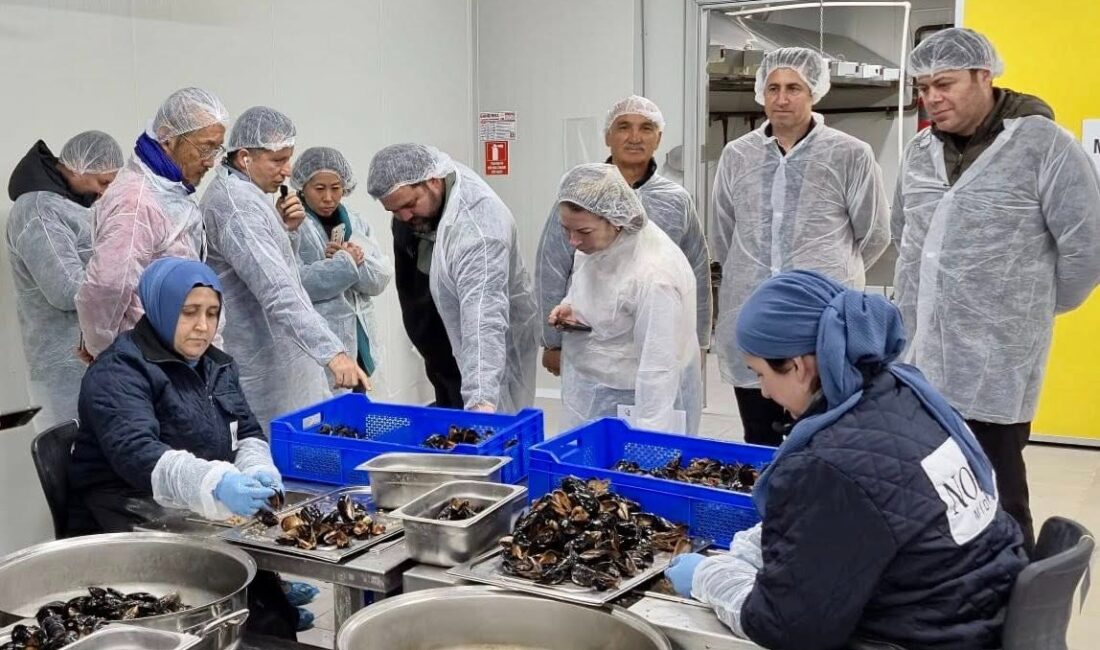 Balıkesir'in su ürünleri potansiyelini keşfedin! JICA ve TİKA'nın eğitim programı