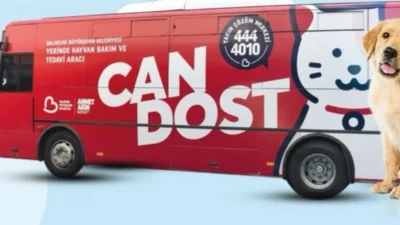 Balıkesir'in Can Dost Mobil Aracı, Şubat-Mart döneminde hayvan bakımı için