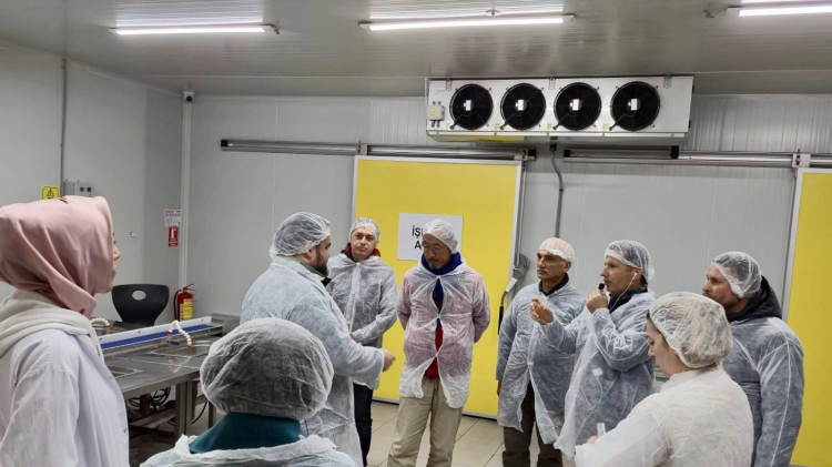 Midye Üretim Süreci