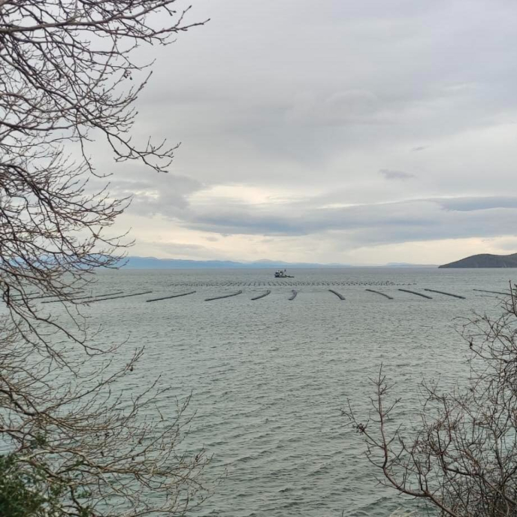 Balıkesir Üretim Çiftlikleri