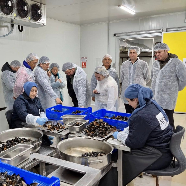 Balıkesir'de Su Ürünleri Yetiştiriciliği