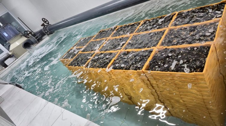 Sürdürülebilir Yetiştiricilik Uygulamaları