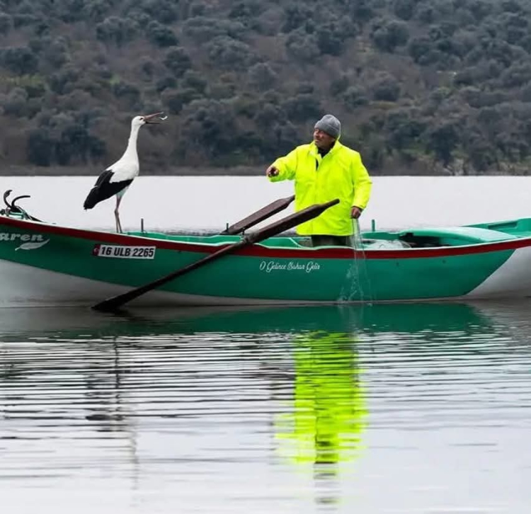 Yaren Leylek'in Gelişi