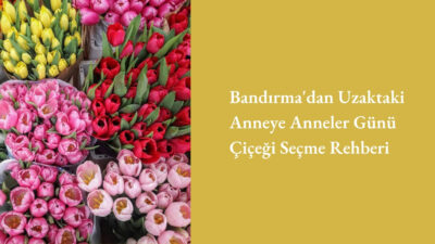 Bandırma'nın demografik yapısına bakıldığında dikkat çekici bir veri çıkar: Üniversite,