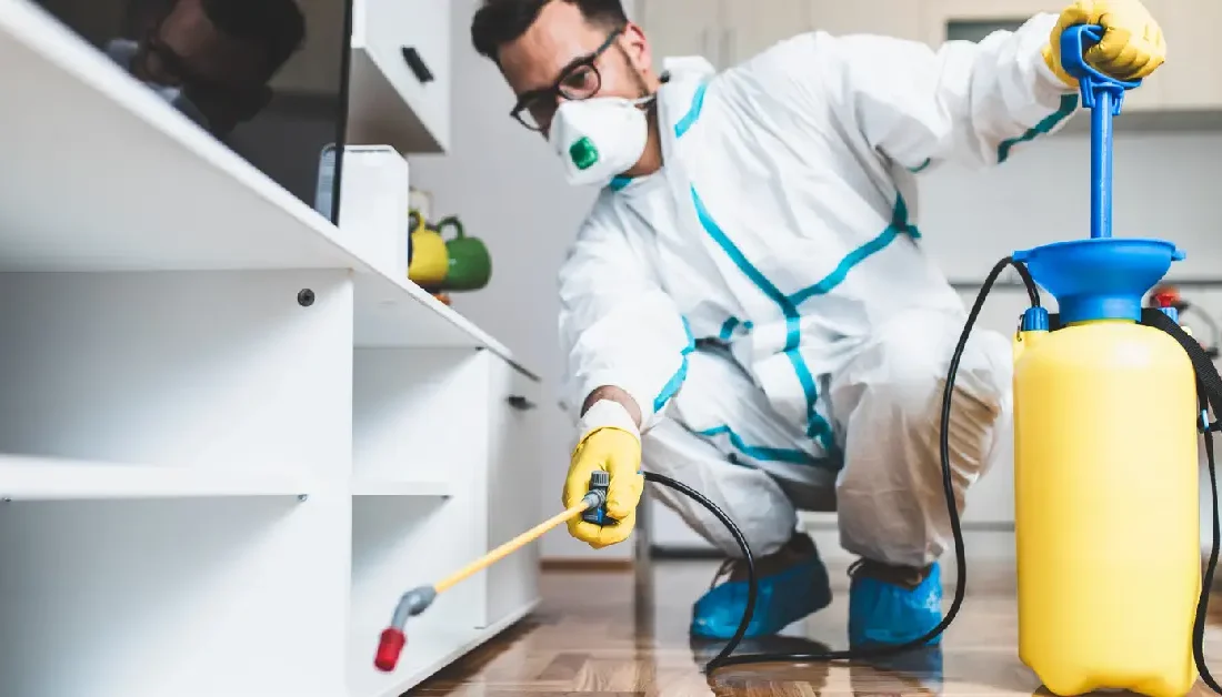 İstanbul gibi büyük ve yoğun nüfuslu bir şehirde böcek ve