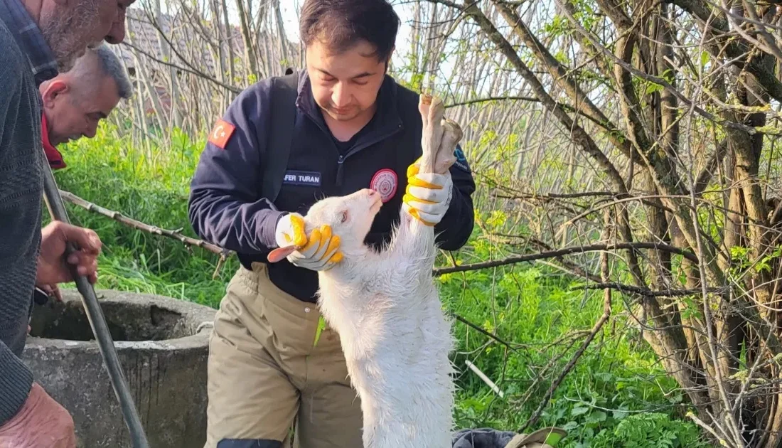 Manyas'ta kuyuya düşen oğlak, itfaiye ekiplerinin hızlı müdahalesiyle kurtarıldı. Detaylar
