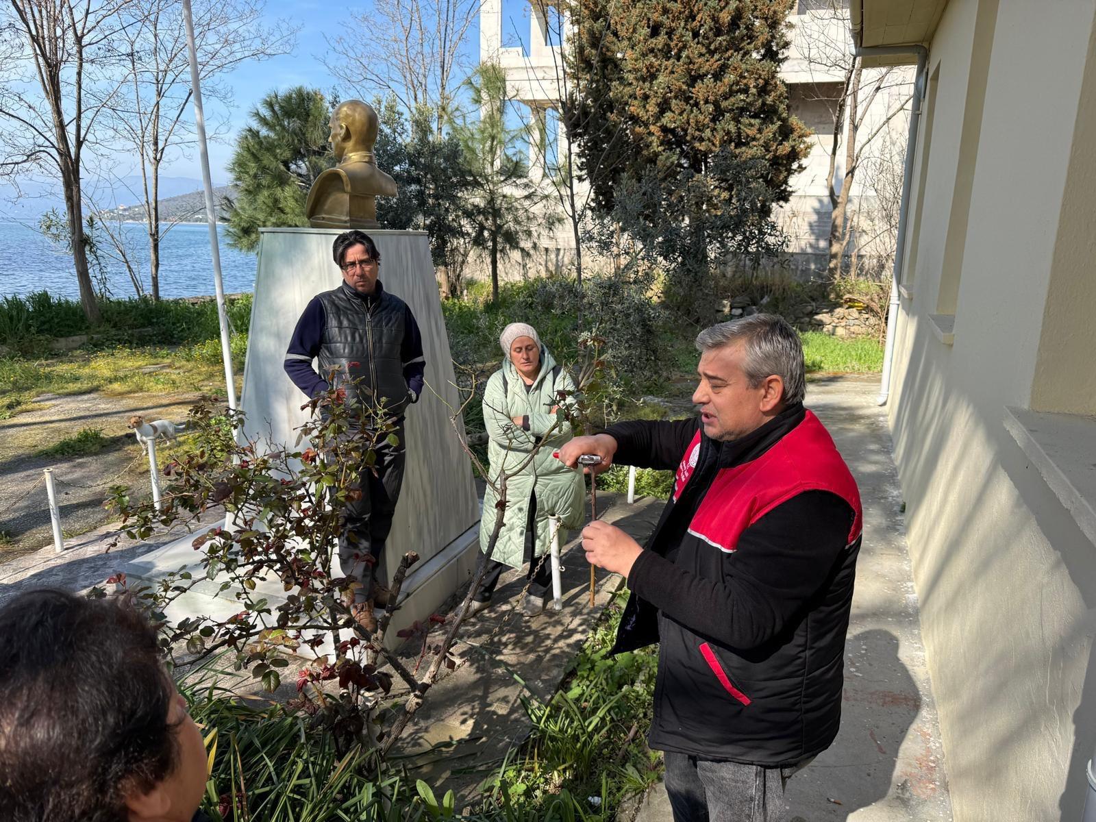 Erdek Paşalimanı Adası’nda zeytin yetiştiriciliği ve budama teknikleri ile ilgili