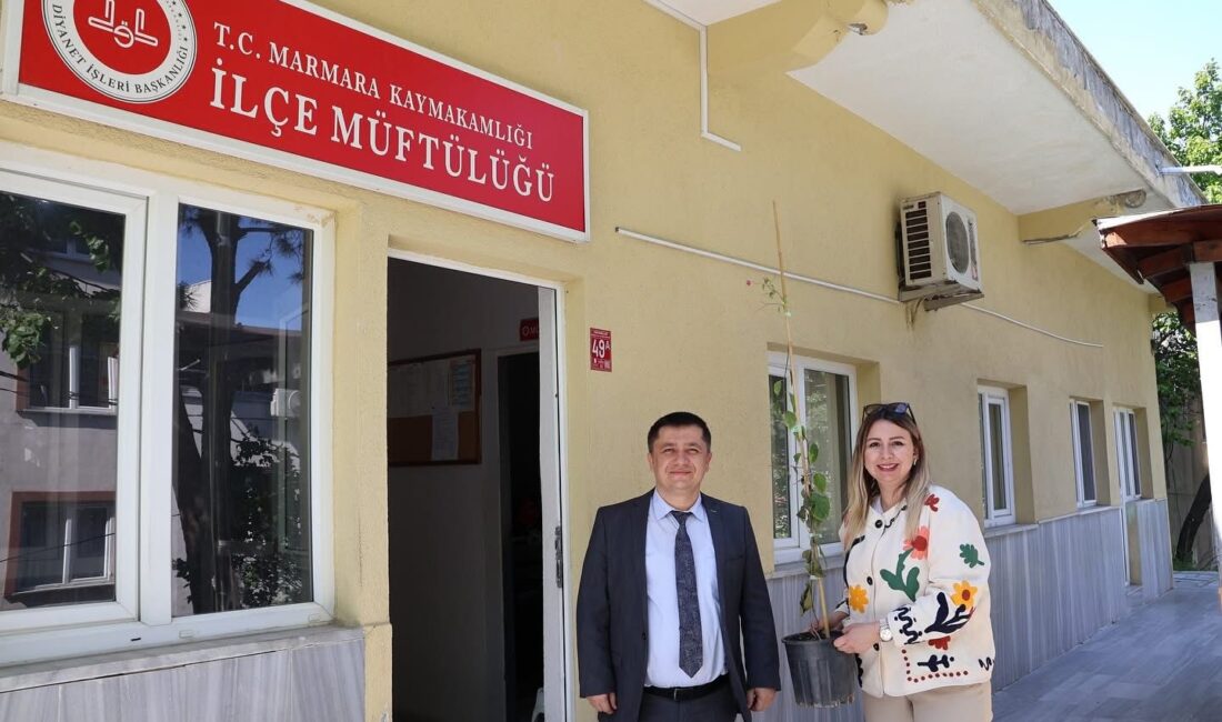 Marmara Adalar güzelleşiyor! Belediyemizden ücretsiz begonvil alarak siz de ilçemizi