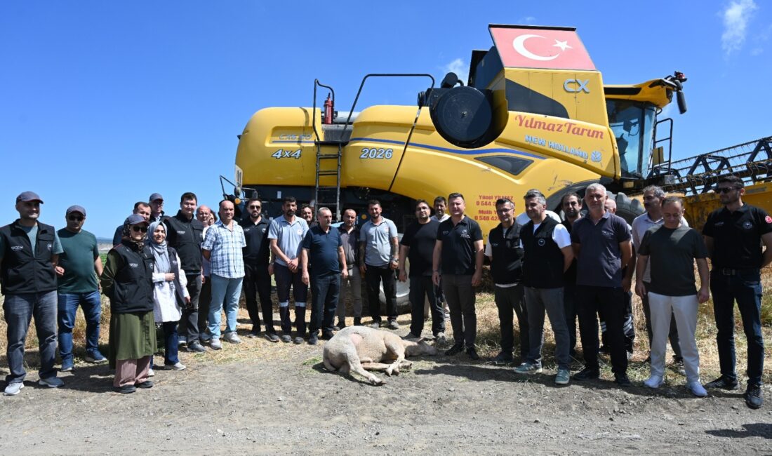 Bandırma Koyunculuk Enstitüsü, bu yıl 5750 dekarlık alanda arpa hasadını