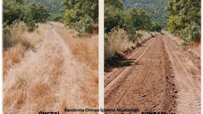 Balıkesir Orman Bölge Müdürlüğü, İvrindi ve Bandırma'da yangın emniyet yollarının