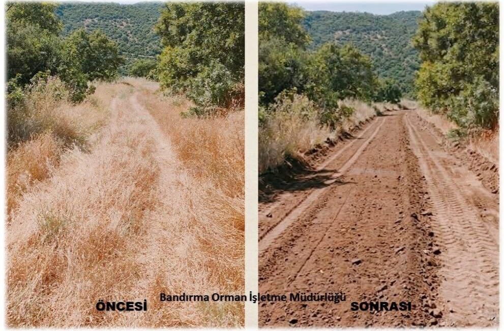 Balıkesir Orman Bölge Müdürlüğü, İvrindi ve Bandırma'da yangın emniyet yollarının