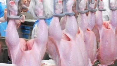 Beyaz et sektöründeki haksız fiyat artışlarına karşı yürütülen soruşturma kapsamında