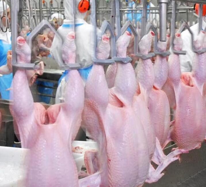 Beyaz et sektöründeki haksız fiyat artışlarına karşı yürütülen soruşturma kapsamında